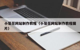 保山小菊花网站制作教程（小菊花网站制作教程图片）