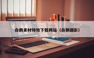 保山白鹅素材特效下载网站（白鹅摄影）